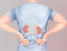 关于痛！太痛了！霍姆斯被裁到手25万但痛失1303万的信息